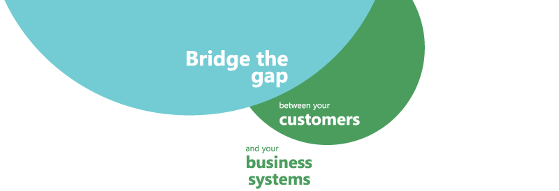 Bridge the Gap between your customers and your business systems
